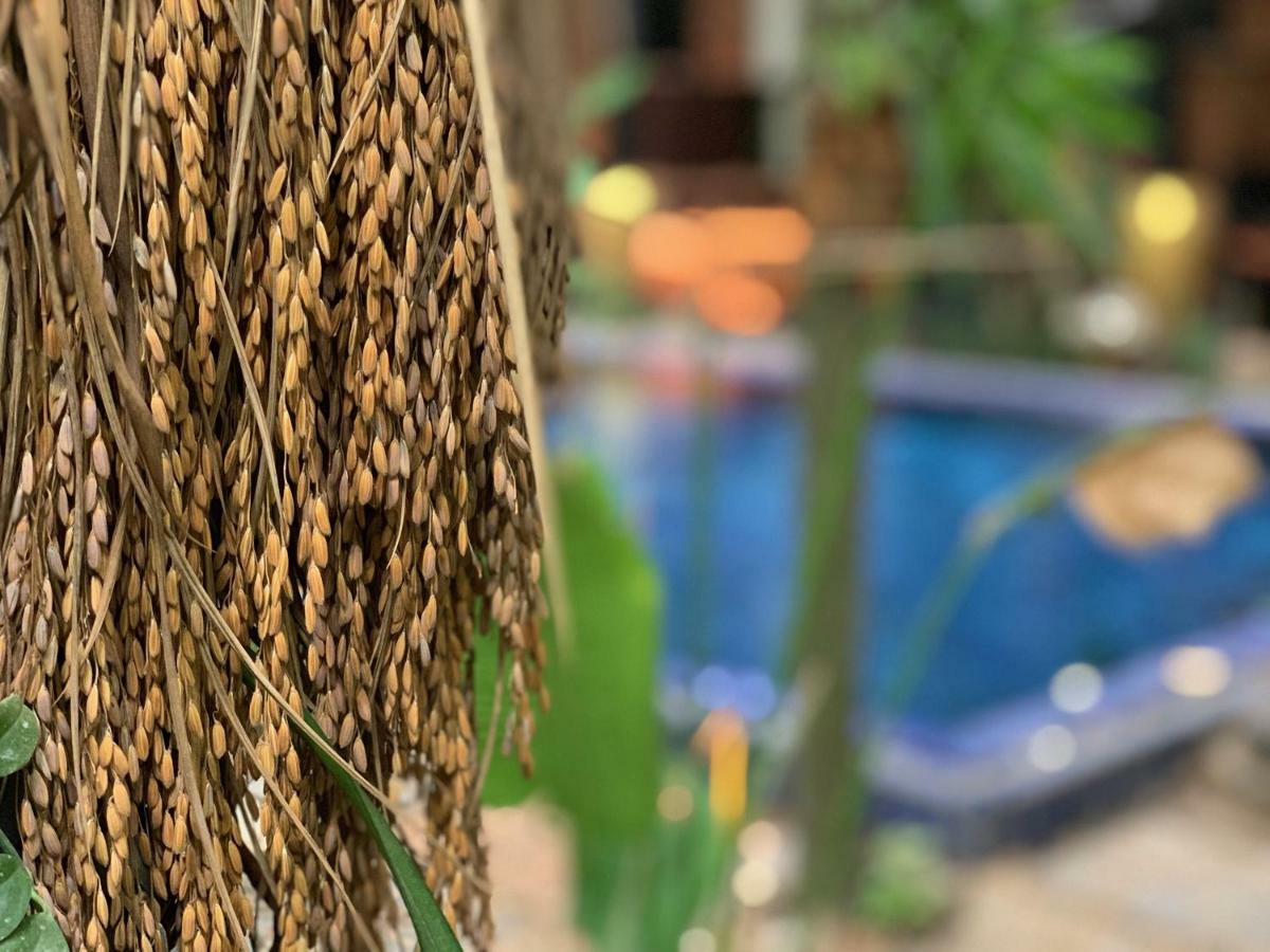 Petit Villa Boutique & Spa Siem Reap Ngoại thất bức ảnh