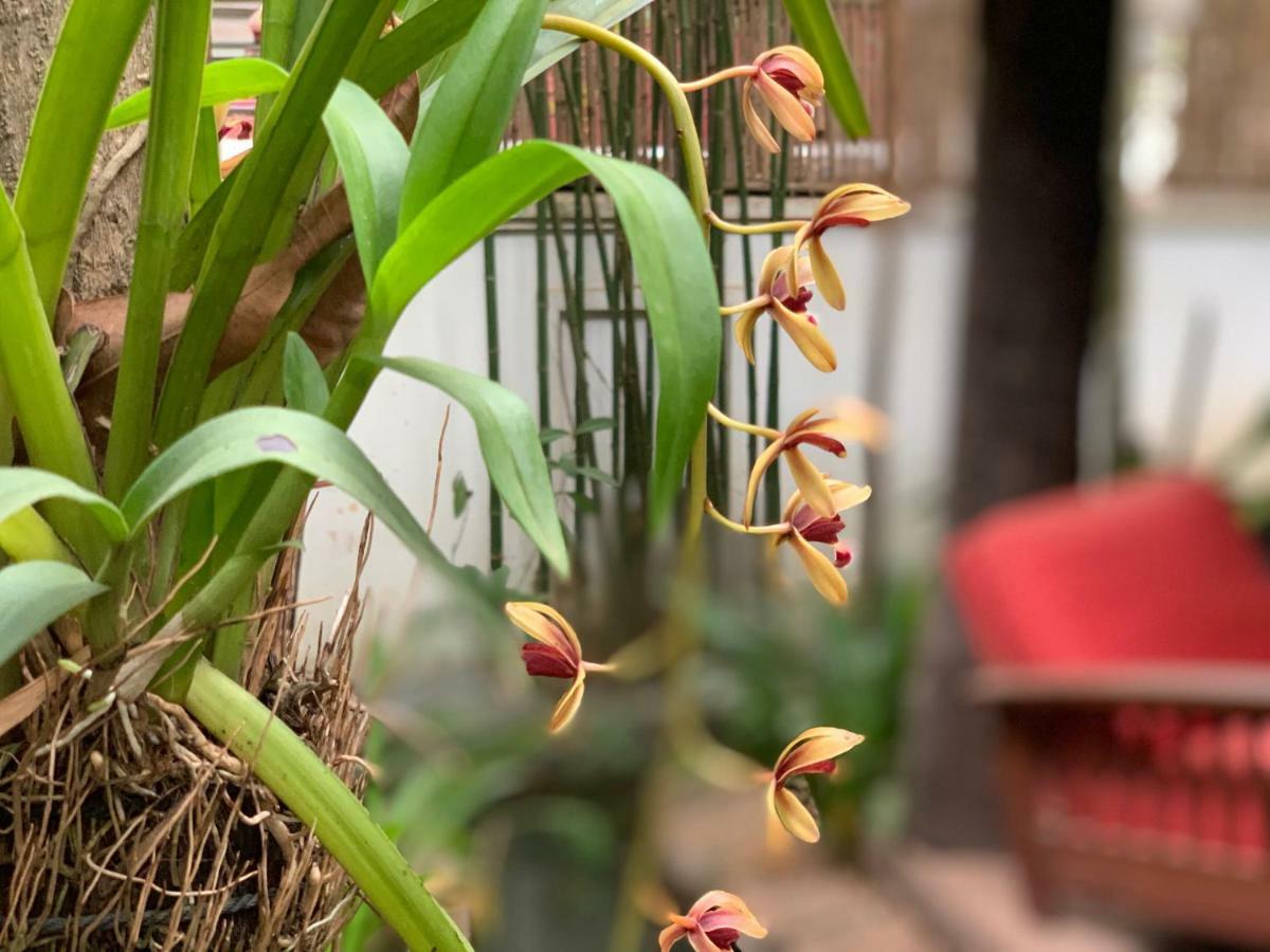 Petit Villa Boutique & Spa Siem Reap Ngoại thất bức ảnh