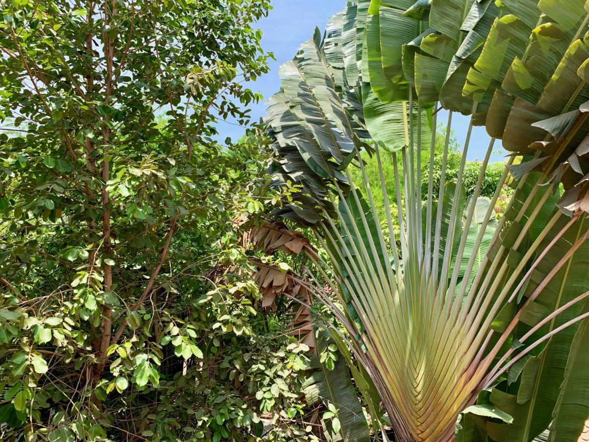 Petit Villa Boutique & Spa Siem Reap Ngoại thất bức ảnh
